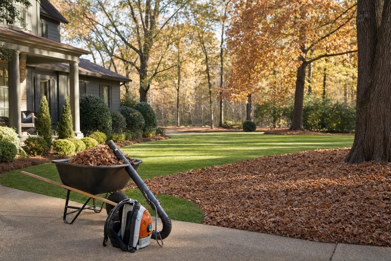 Yard Cleanup in the Memphis metro by Southbound Landscape Co.